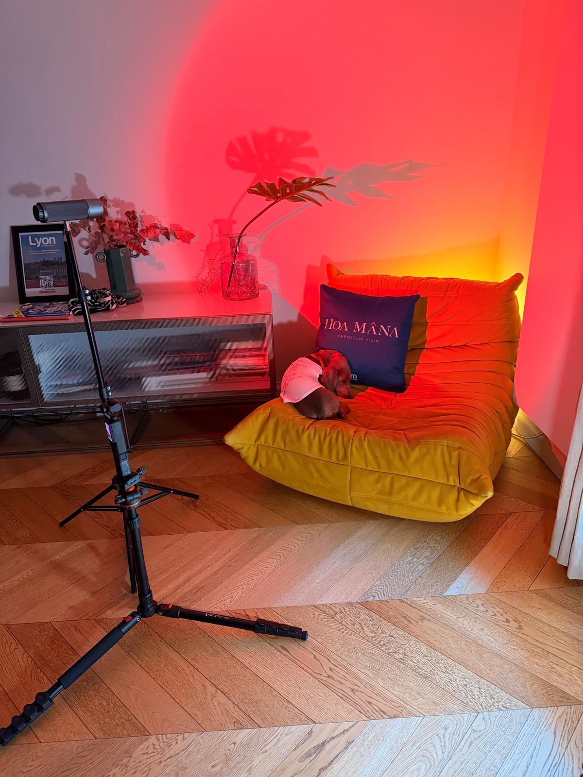 Décris ici la photo pour le SEO